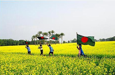 Bangladesh Guidelines