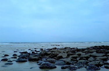 Inani Sea Beach Bangladesh