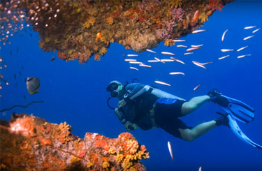 Scuba Diving Saint Martins Bangladesh