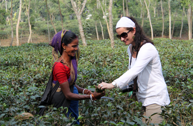 Lawachara rain forest, Srimangol Tour - Rain Forest and Tea Garden Tour Sylhet - Madhabkundu water fall - Jaflong Tour - Old Dhaka city tour