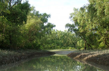 Nijhum Island Bangladesh