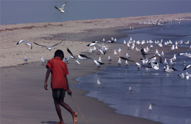 Sonadia Island Bangladesh