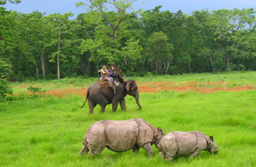 Dhaka Kathmandu Chitwan Nepal Tour Package from Dhaka Bangladesh