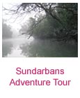 sundarbans bangladesh tour